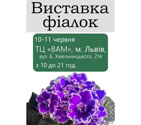Выставка фиалок во Львове 10-11 июня 2017 Выставка фиалок во Львове 10-11 июня 2017
