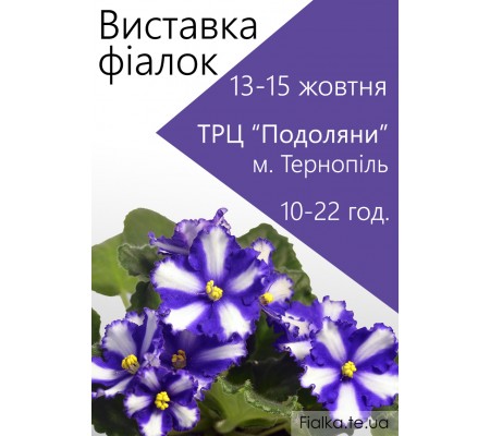 Выставка фиалок в Тернополе 13-15 октября 2017