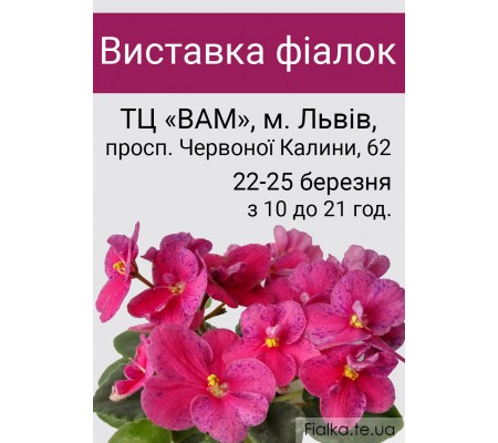 Выставка фиалок во Львове 22-25 марта 2018 г.