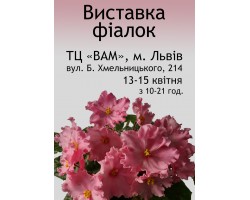 Выставка фиалок во Львове 13-15 апреля 2018 г.