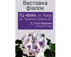 Выставка фиалок во Львове 2, 3 и 4 марта 2018р