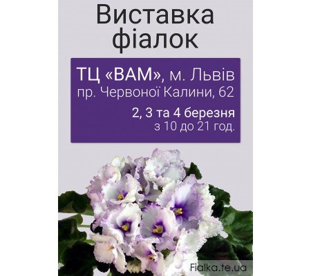 Выставка фиалок во Львове 2, 3 и 4 марта 2018р Выставка фиалок во Львове 2, 3 и 4 марта 2018р