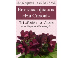 Выставка фиалок во Львове 22-23 июля 2017