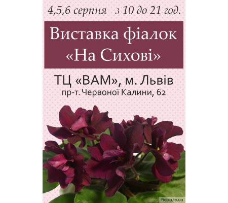 Выставка фиалок во Львове 22-23 июля 2017 Выставка фиалок во Львове 22-23 июля 2017