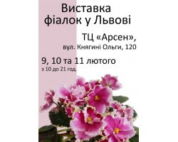 Выставка фиалок во Львове 9, 10 и 11 февраля 2018р
