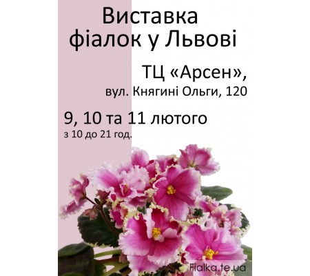 Выставка фиалок во Львове 9, 10 и 11 февраля 2018р