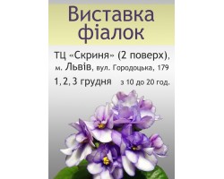 Выставка фиалок во Львове 1, 2, 3 Декабря 2017
