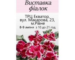 Выставка фиалок в Киеве 8-9 июля 2017