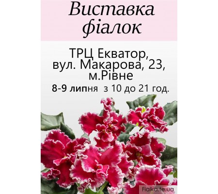 Выставка фиалок в Киеве 8-9 июля 2017