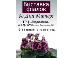 Выставка фиалок в Тернополе ко Дню Матери 13-14 мая 2017
