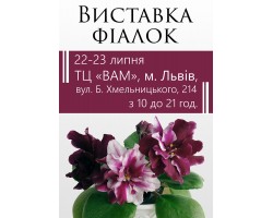 Выставка фиалок во Львове 22-23 июля 2017