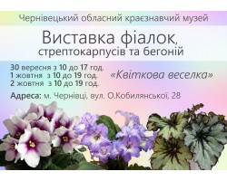 Выставка фиалок в Черновцах 30 сентября - 2 октября 2016 года
