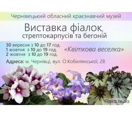Выставка фиалок в Черновцах 30 сентября - 2 октября 2016 года