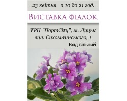 Выставка фиалок в Луцке 23 апреля 2016