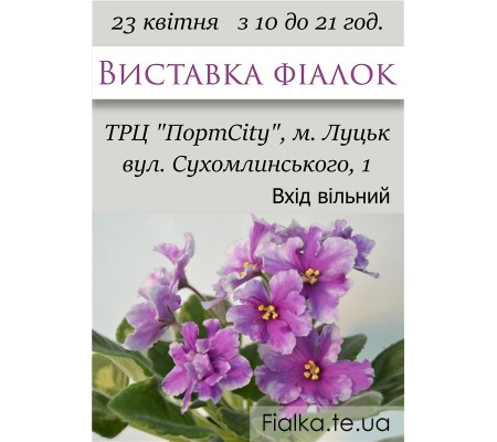 Выставка фиалок в Луцке 23 апреля 2016 Выставка фиалок в Луцке 23 апреля 2016