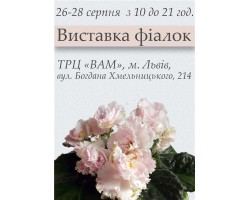 Выставка фиалок в Львове 26-28 августа 2016
