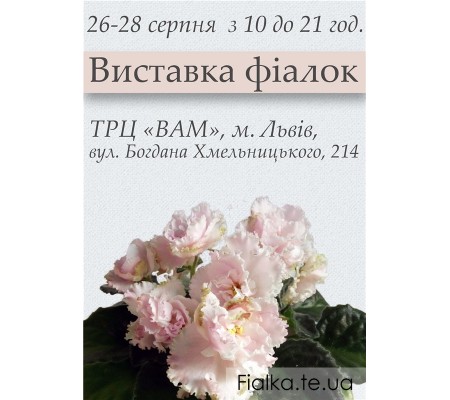 Выставка фиалок в Львове 26-28 августа 2016 Выставка фиалок в Львове 26-28 августа 2016