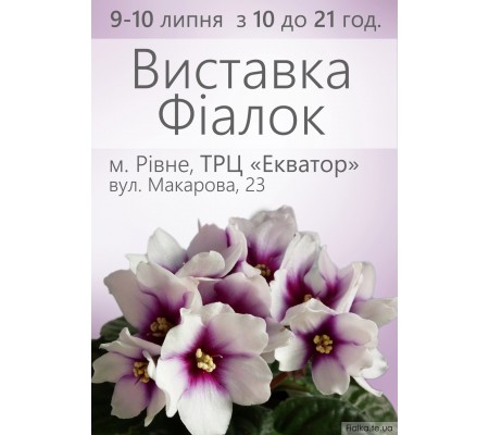 Выставка фиалок в Ровно 9-10 июля 2016