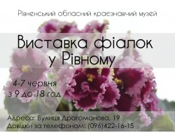 Выставка фиалок в Ровно