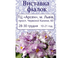 Выставка фиалок во Львове 28-30 декабря 2018