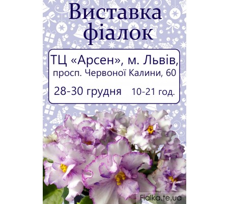 Выставка фиалок во Львове 28-30 декабря 2018 Выставка фиалок во Львове 28-30 декабря 2018